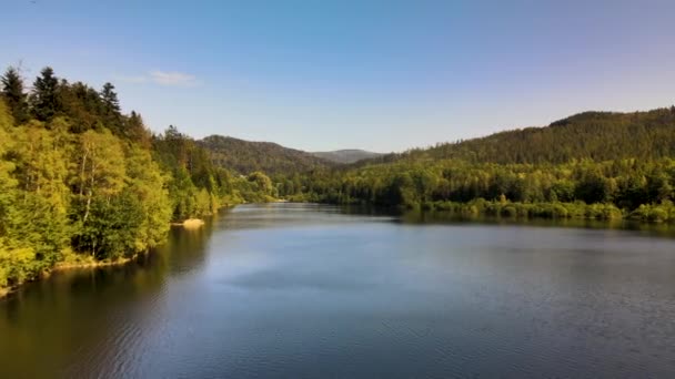 Muñeca Aérea Disparada Sobre Lago Medio Del Bosque Montaña — Vídeos de Stock