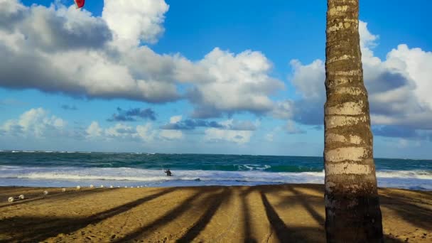 从海滩看多米尼克纳的风筝冲浪者 — 图库视频影像