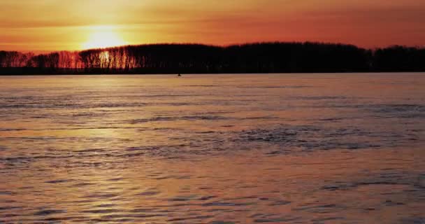 Beautiful Sunrise Trees Danube River — Vídeo de Stock