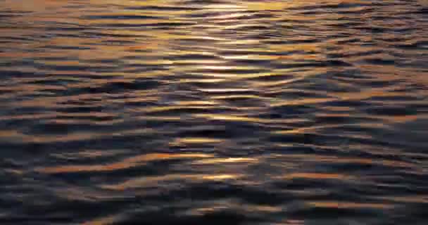 Reflejos Luz Del Amanecer Corriente Del Río — Vídeos de Stock