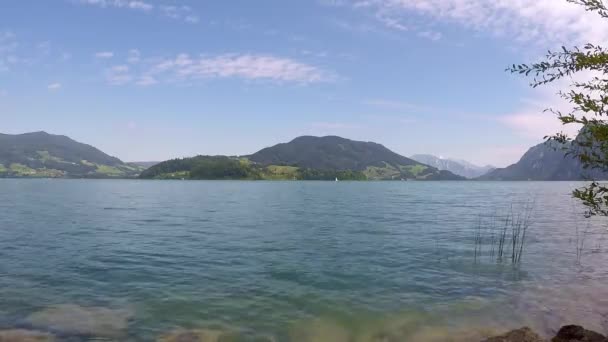 Awsome Meer Oostenrijk Genoemd Mondsee Met Bergen Zwaaiend Riet Golvend — Stockvideo