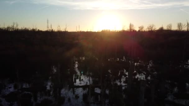 Bright Sunset Majestic Swamplands Belgium Aerial Fly Back View — Stockvideo