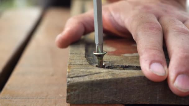 Fastening Screw Wood Plank Screwdriver Close — Stock Video