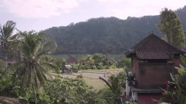 Vista Los Campos Arroz Típica Casa Balinesa Bali Indonesia — Vídeos de Stock