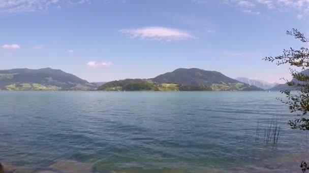 Krásné Jezero Rakousku Názvem Mondsee Horami Vlnící Rákosí Vlnitá Voda — Stock video