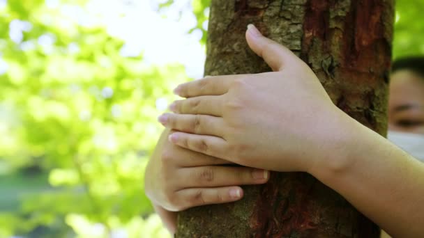 Kvinnlig Hand Kramar Och Vidrör Bark Träd Stam Skogen Bryr — Stockvideo