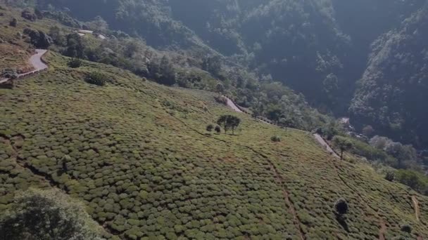 インドの丘の駅や茶畑のドローンパンショット 遅い明らかにショット — ストック動画