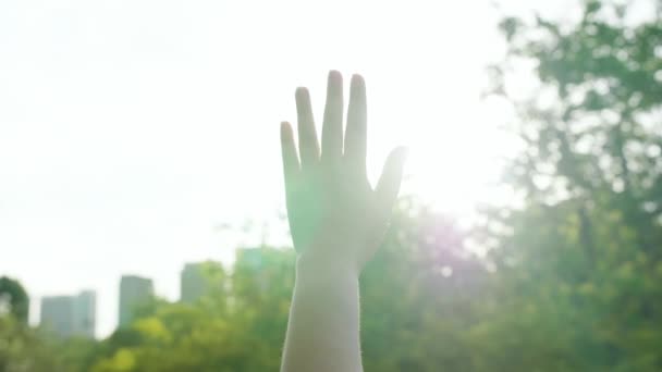 Γυναικείο Χέρι Που Αγγίζει Ηλιοβασίλεμα Του Ήλιου Που Περνά Μέσα — Αρχείο Βίντεο