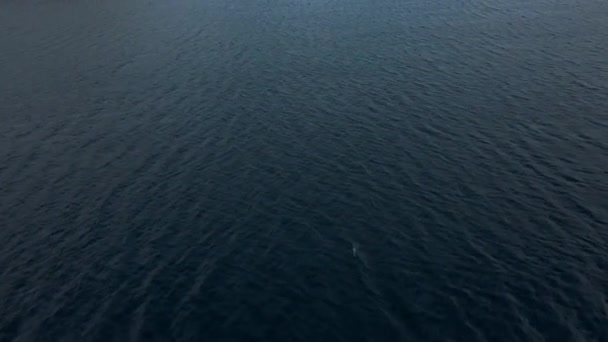 Luftseilbahn Der Laguna Negra Zeigt Wanderer Die Zerklüfteter Küste Rasten — Stockvideo
