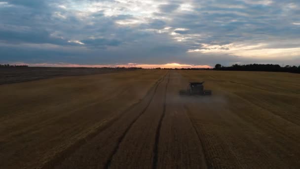 Luftaufnahme Der Landwirtschaftlichen Industrie Traktoren Maschinen Werkzeuge Pflügen Große Flächen — Stockvideo