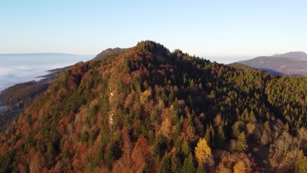 紅葉の森に覆われた山のドローン撮影 — ストック動画