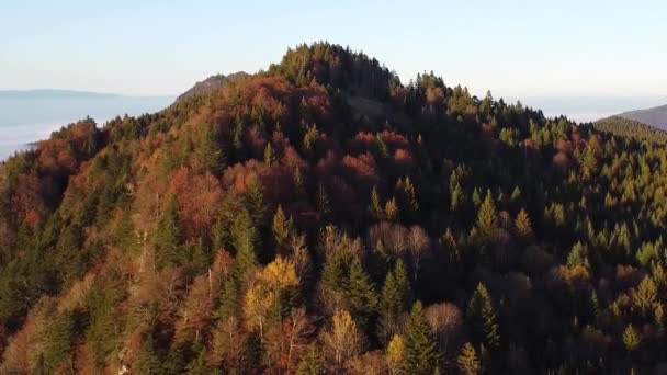 Tiro Dron Retrocediendo Una Montaña Cubierta Por Colorido Bosque Otoñal — Vídeos de Stock