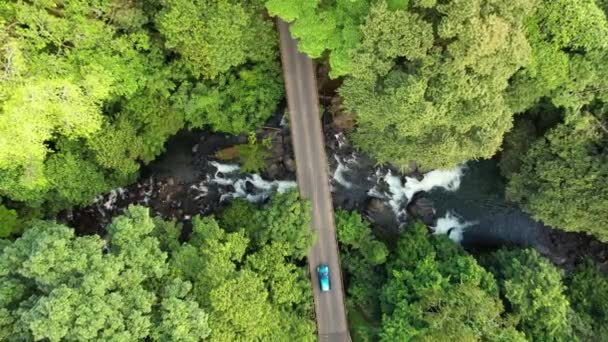 Drone Focussen Brug Met Voertuigen Kruising Tropische Sfeer — Stockvideo