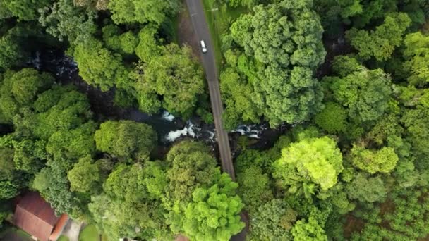 Puente Carretera Local Través Exuberante Vegetación Tropical Verde América Del — Vídeos de Stock