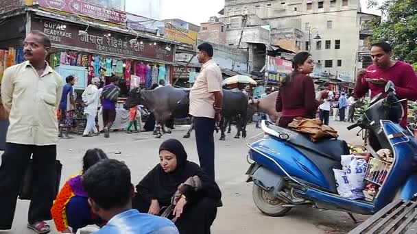 インドのバラナシのストリートライフ 牛は市場を歩いています — ストック動画