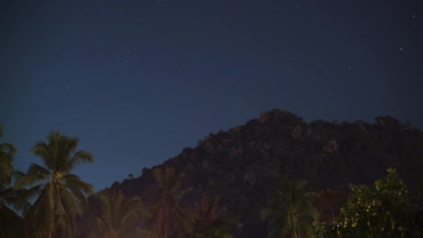 Tayland Tropikal Palmiye Ormanlarında Açık Karanlık Gökyüzü Olan Bir Gecede — Stok video