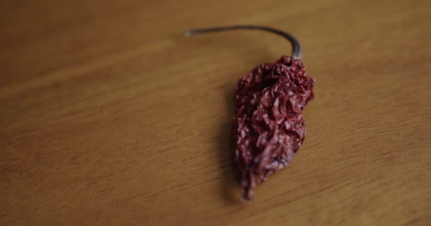 Close Pfanne Rechts Von Einem Getrockneten Ghost Pepper Auf Einem — Stockvideo