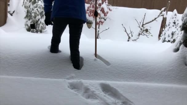 Donna Camminando Nella Neve Profonda — Video Stock