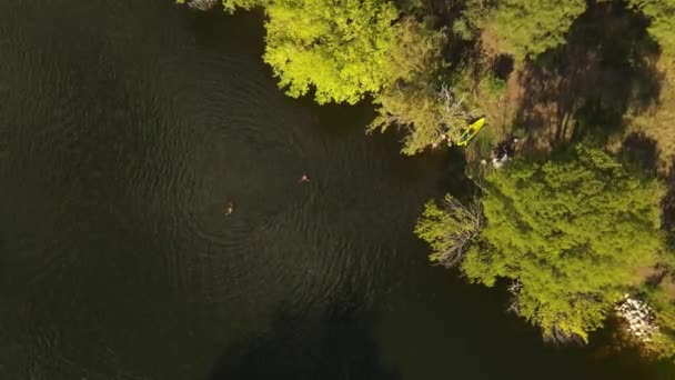 Two People Swimming River Water Close Verdant Banks Cordoba Argentina — стокове відео