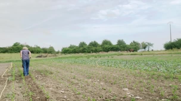 Αγρότης Όργωσε Του Εξωτερικού Κήπου Κατά Διάρκεια Μιας Ηλιόλουστης Ημέρας — Αρχείο Βίντεο