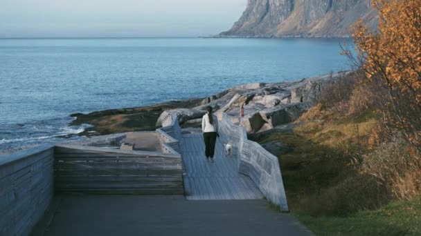 Bakifrån Syns Kvinna Med Sin Hund Gående Mot Fjorden Träplattformen — Stockvideo