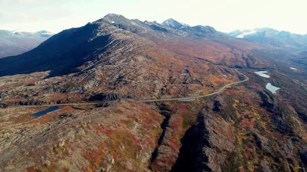 Vídeo Aéreo 60Fps Del Paso Thompson Camino Valdez Alaska Caída — Vídeos de Stock