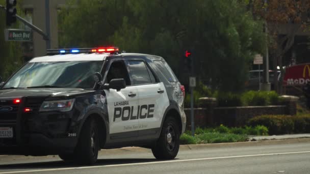 Police Car Flashes Its Lights Parked Cop Car Red Blue — Wideo stockowe