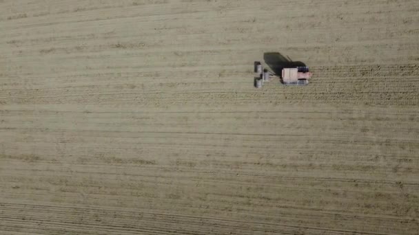 유기농 농장에서 뿌리기 농토를 경작하고 경작하기 두루마리 장비를 트랙터의 꼭대기에서 — 비디오