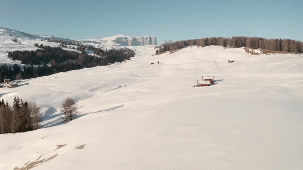 Dolly Forward Drone Shot Thick Snow Mountain Huts Seiser Alm — Vídeo de Stock