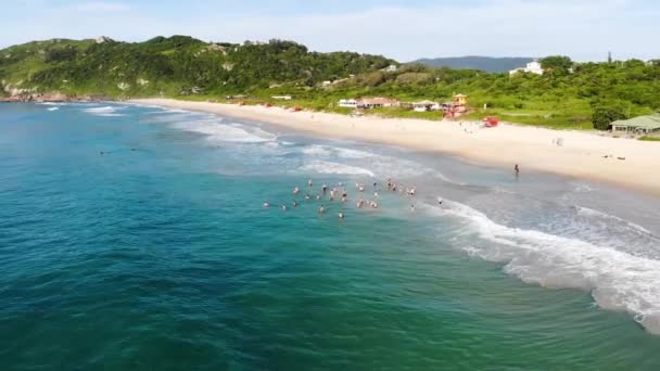 Aerial Drone Shot Group People Sea Nyáron Brazíliában — Stock videók