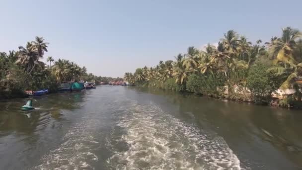 Wycieczka Statkiem Wzdłuż Jeziora Vembanad Otoczony Lasem Dżungli Alappuzha Indiach — Wideo stockowe