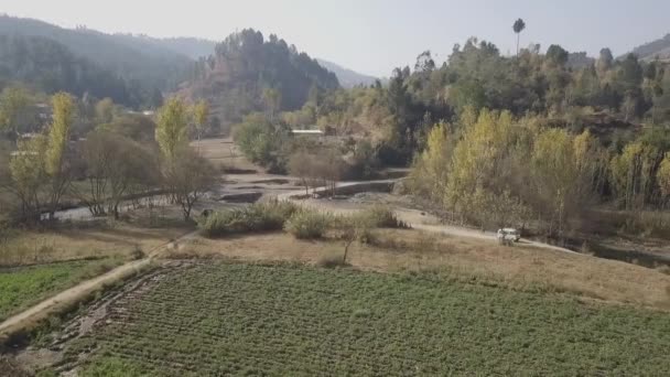 Abbotabad Beautiful Scenery Aerial View Farm Field Morning Foggy Light — ストック動画