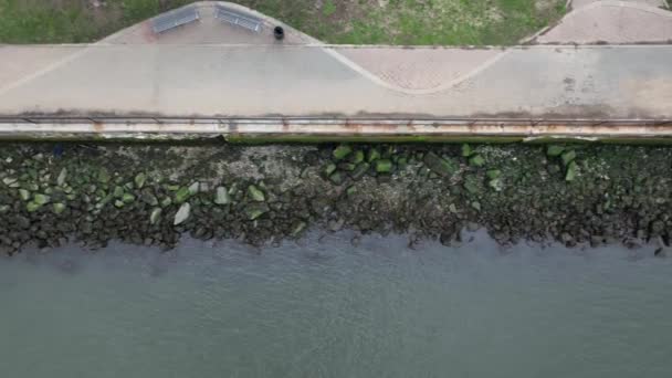 Top Drone Shot Park Edge East River Camera Tilted Straight — Stockvideo