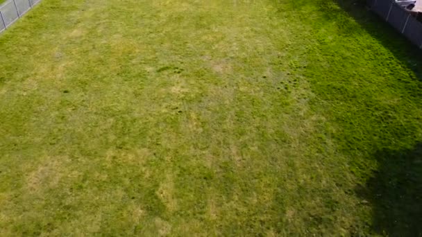 Luftaufnahme Von Akkurat Gemähtem Gras Rasen Auf Dem Fußballplatz Innerhalb — Stockvideo