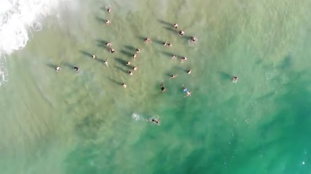 Drone Colpo Rotante Persone Mare Estate Brasile Florianopolis — Video Stock