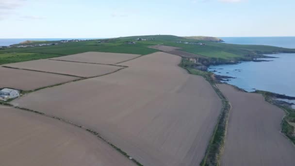 Terreno Agrícola West Cork Irlanda Rodeado Oceano Uma Filmagem Aérea — Vídeo de Stock