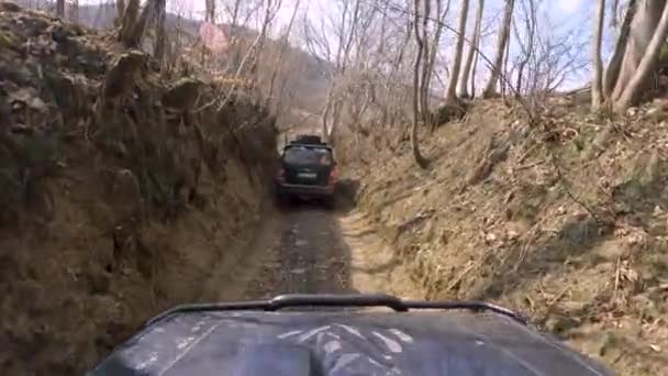 Mitsubishi Pajero Downhill Passeio Floresta Estrada Suja Janela Pov — Vídeo de Stock