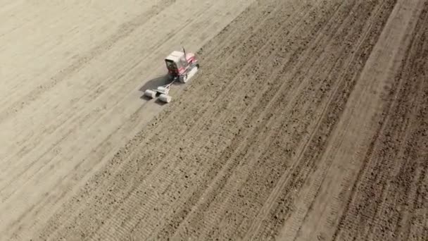 Вид Воздуха Крошечный Красный Трактор Вспахивающий Землю Перед Посевом Беспилотник — стоковое видео