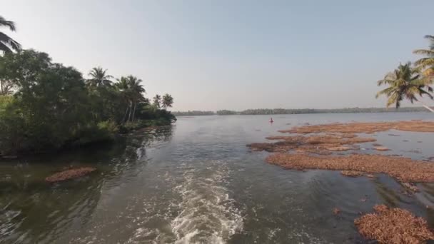 ケーララ州の熱帯川の岸 水生植物に沿って航行船 Alappuzha インド — ストック動画