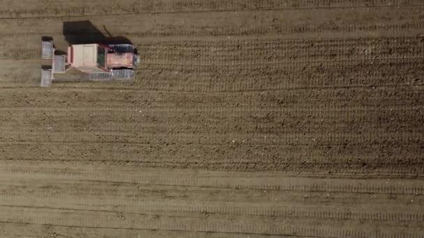 Красный Гусеничный Трактор Тройным Валкователем Пашет Землю Сельскохозяйственной Ферме Воздушный — стоковое видео
