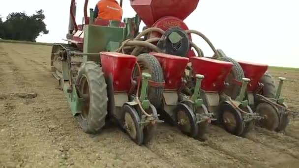 Výsevní stroj namontovaný na červeném traktoru pracující na zemědělské farmě, přírodní ekologicky udržitelný, koncepce potravinového řetězce 