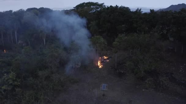 Feuer Pantanal Drohnenbild Langsam Rückwärts — Stockvideo