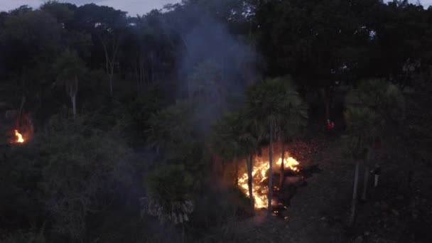 Aeronáutica Incêndio Partir Floresta Bombeiro Trabalhar Contra Ela — Vídeo de Stock