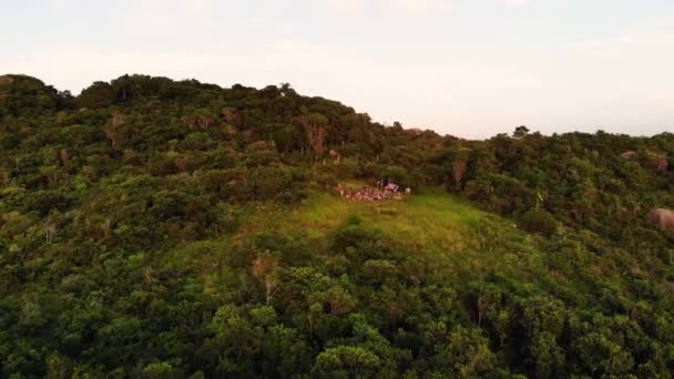 Aerial Shot People Watching Sunrise Island Florianopolis Brazil — ストック動画