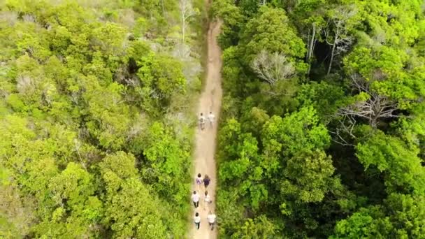 Group People Walking Trail Paradise Island Brazil Hiking Aerial Drone — стокове відео