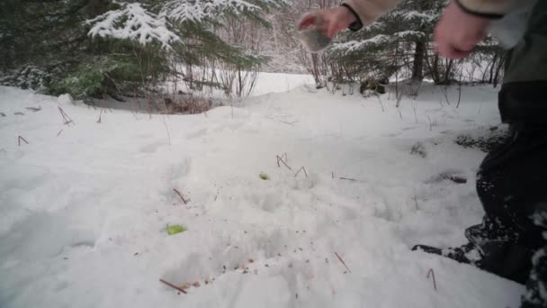 Человек Рассеивающий Семена Снегу Горной Деревне Вьентьян Норвегия Low Level — стоковое видео