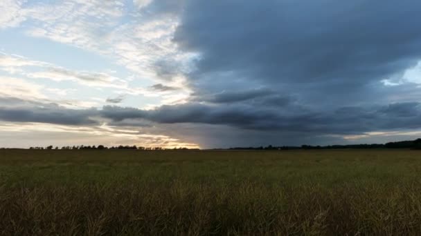 Chłodny Krajobraz Światło Timelapse Wsi — Wideo stockowe