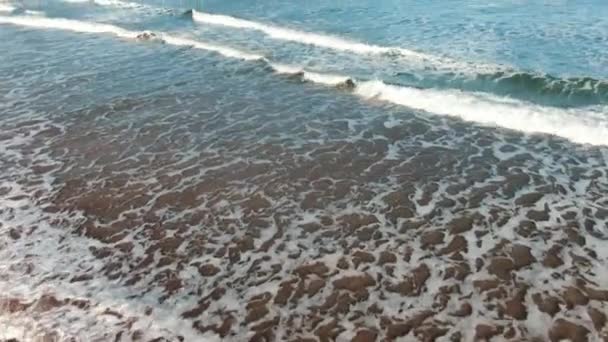 Рыболовные Палочки Стояли Пляже Ожидании Следующего Укуса Время Маленькие Волны — стоковое видео