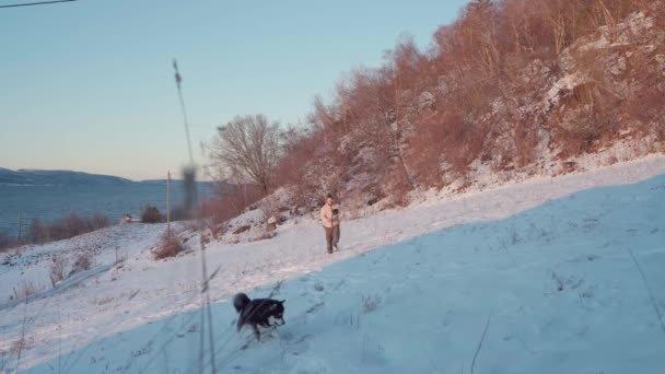 Adam Kar Kaplı Bir Yamaçta Boynunda Bir Iple Köpeğini Gezdiriyor — Stok video