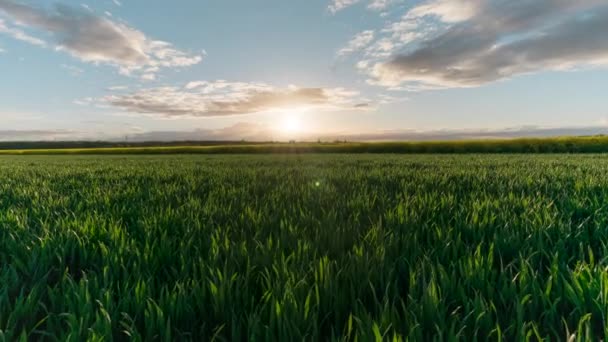 Timelapse Fält Den Franska Landsbygden Normandy Våren — Stockvideo